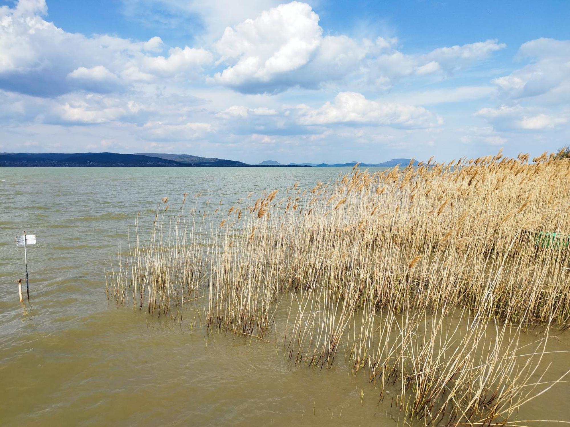 Margareta Etterem Es Vendeghaz Gasthaus Balatonbereny Luaran gambar
